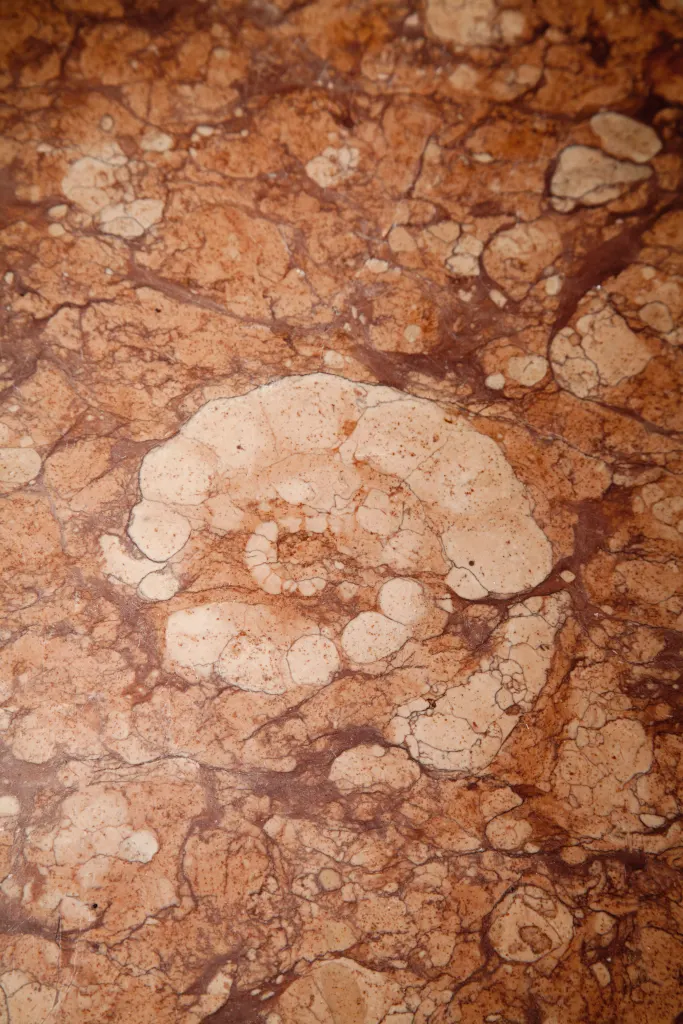 Intarsi e decori – intarsi